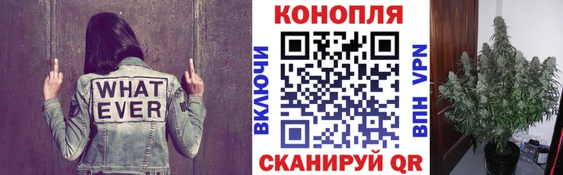 маркетплейс наркотические препараты  Каменск-Уральский  Каннабис ГИДРОПОН  blacksprut ТОР 